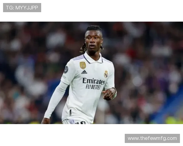 卡马文加是否依赖体系生存